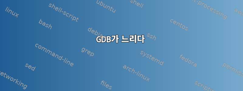 GDB가 느리다