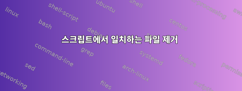 스크립트에서 일치하는 파일 제거