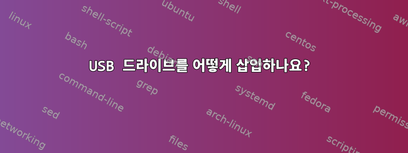 USB 드라이브를 어떻게 삽입하나요?