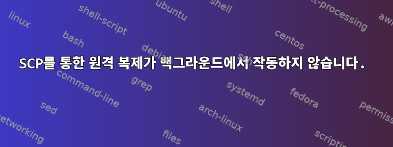 SCP를 통한 원격 복제가 백그라운드에서 작동하지 않습니다.