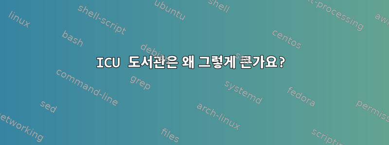 ICU 도서관은 왜 그렇게 큰가요?