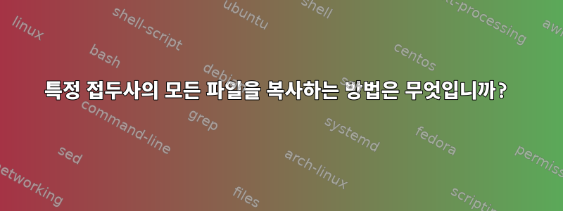 특정 접두사의 모든 파일을 복사하는 방법은 무엇입니까?