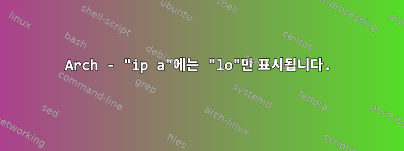 Arch - "ip a"에는 "lo"만 표시됩니다.