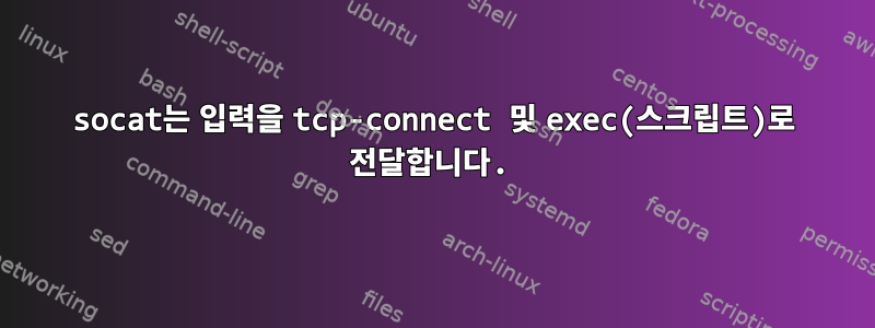 socat는 입력을 tcp-connect 및 exec(스크립트)로 전달합니다.