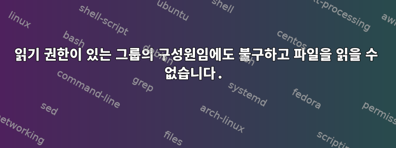 읽기 권한이 있는 그룹의 구성원임에도 불구하고 파일을 읽을 수 없습니다.