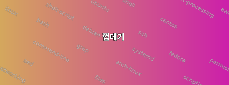 껍데기