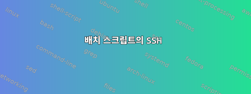 배치 스크립트의 SSH