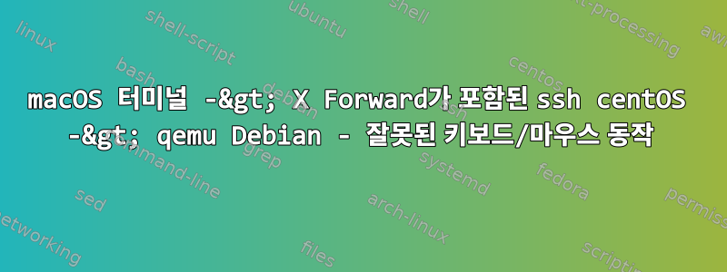 macOS 터미널 -&gt; X Forward가 포함된 ssh centOS -&gt; qemu Debian - 잘못된 키보드/마우스 동작