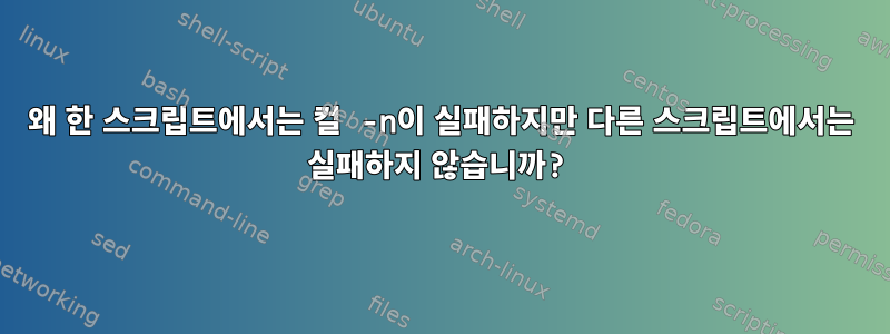 왜 한 스크립트에서는 컬 -n이 실패하지만 다른 스크립트에서는 실패하지 않습니까?