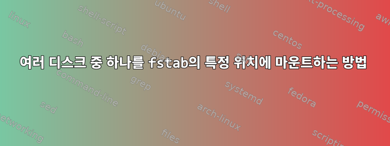 여러 디스크 중 하나를 fstab의 특정 위치에 마운트하는 방법