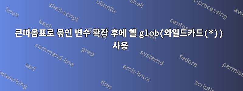 큰따옴표로 묶인 변수 확장 후에 쉘 glob(와일드카드(*)) 사용