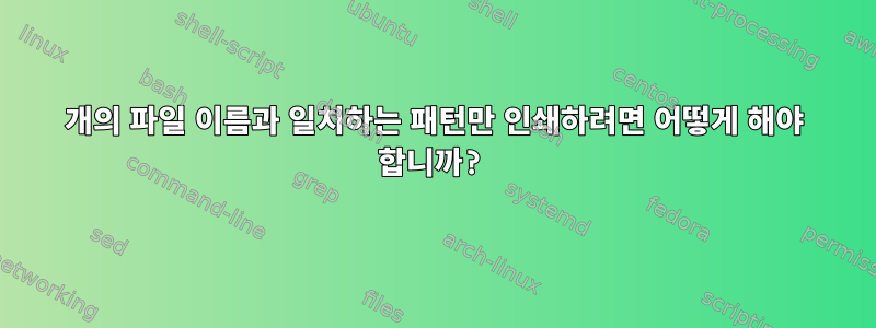 1개의 파일 이름과 일치하는 패턴만 인쇄하려면 어떻게 해야 합니까?