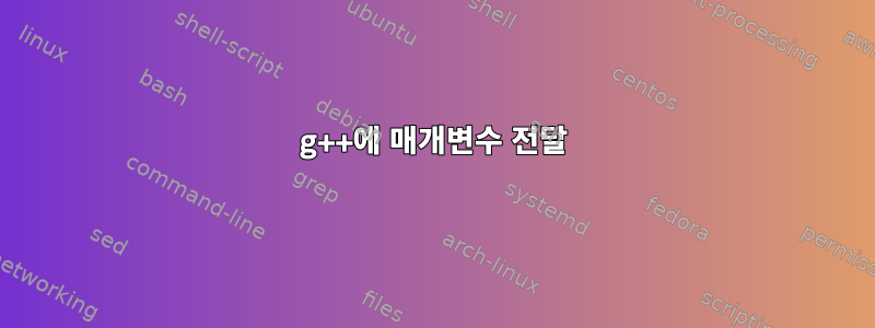 g++에 매개변수 전달