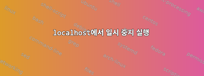 localhost에서 일시 중지 실행