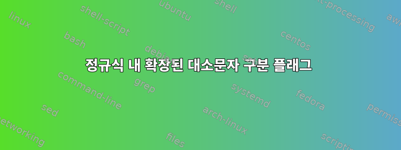 정규식 내 확장된 대소문자 구분 플래그