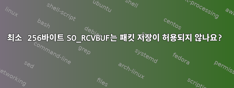 최소 256바이트 SO_RCVBUF는 패킷 저장이 허용되지 않나요?