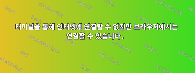 터미널을 통해 인터넷에 연결할 수 없지만 브라우저에서는 연결할 수 있습니다.