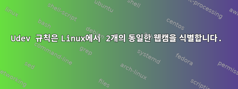 Udev 규칙은 Linux에서 2개의 동일한 웹캠을 식별합니다.