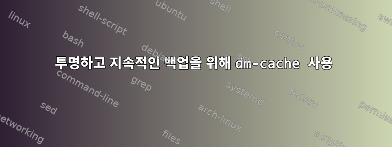 투명하고 지속적인 백업을 위해 dm-cache 사용