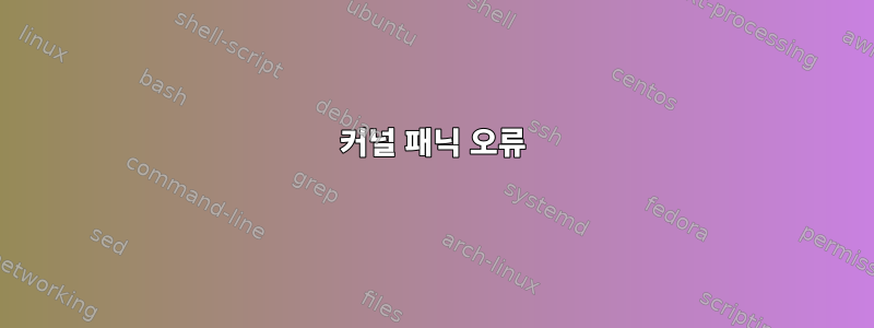 커널 패닉 오류