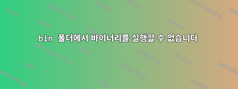 bin 폴더에서 바이너리를 실행할 수 없습니다