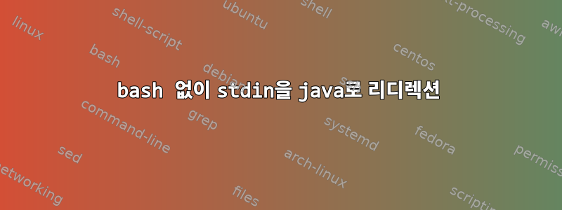 bash 없이 stdin을 java로 리디렉션