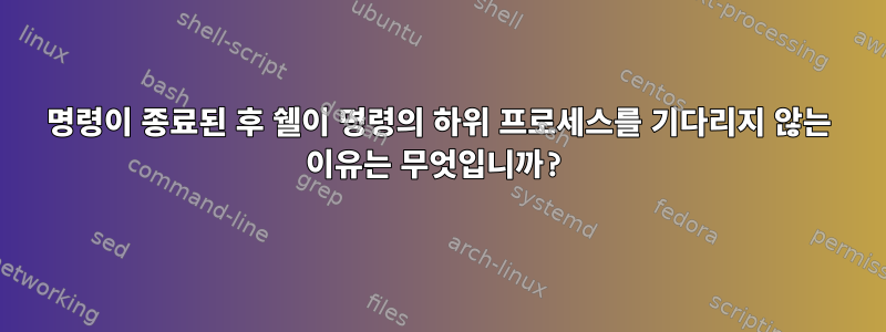 명령이 종료된 후 쉘이 명령의 하위 프로세스를 기다리지 않는 이유는 무엇입니까?