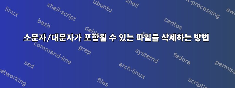 소문자/대문자가 포함될 수 있는 파일을 삭제하는 방법