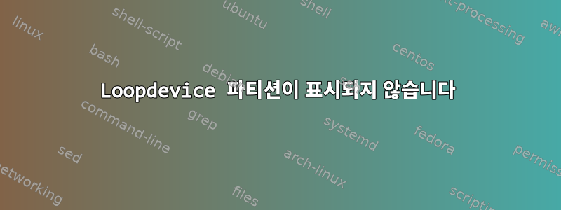 Loopdevice 파티션이 표시되지 않습니다