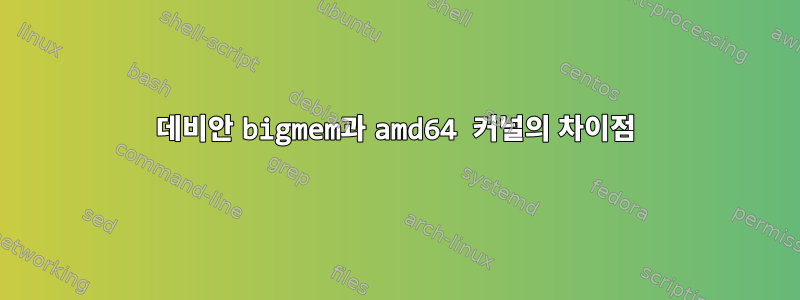 데비안 bigmem과 amd64 커널의 차이점