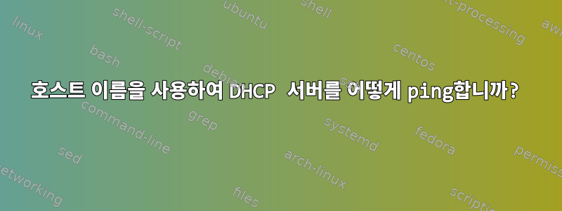 호스트 이름을 사용하여 DHCP 서버를 어떻게 ping합니까?