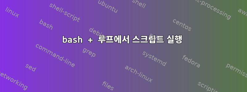 bash + 루프에서 스크립트 실행