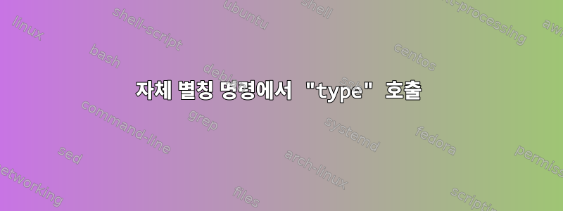 자체 별칭 명령에서 "type" 호출