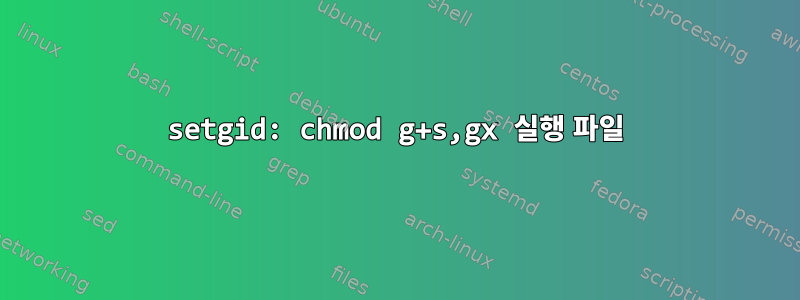 setgid: chmod g+s,gx 실행 파일