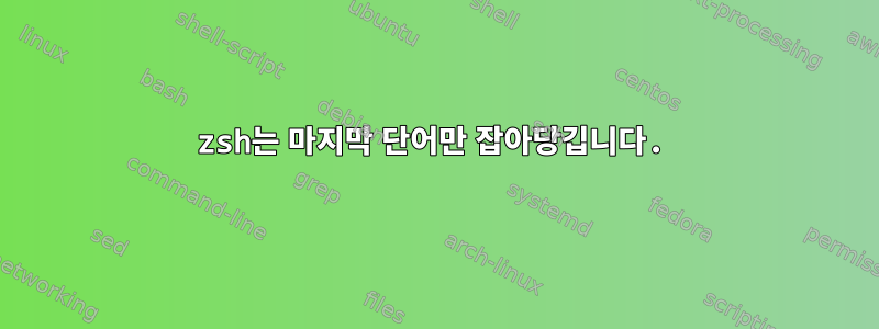 zsh는 마지막 단어만 잡아당깁니다.