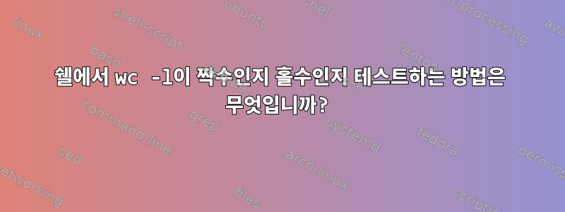 쉘에서 wc -l이 짝수인지 홀수인지 테스트하는 방법은 무엇입니까?