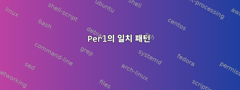 Perl의 일치 패턴