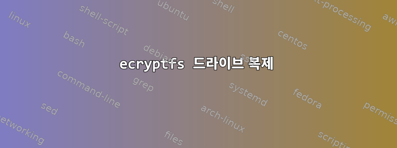 ecryptfs 드라이브 복제