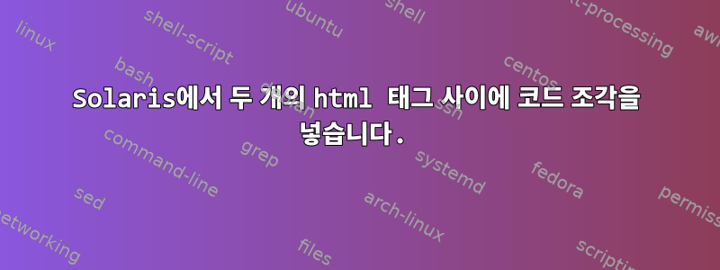 Solaris에서 두 개의 html 태그 사이에 코드 조각을 넣습니다.