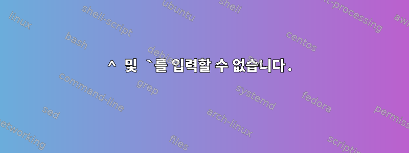 ^ 및 `를 입력할 수 없습니다.