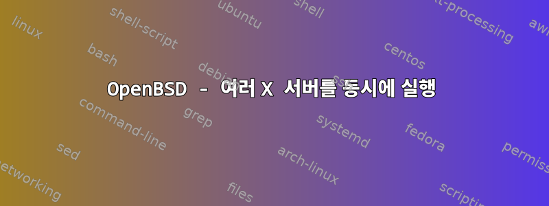 OpenBSD - 여러 X 서버를 동시에 실행