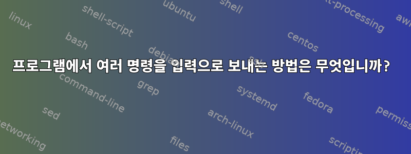 프로그램에서 여러 명령을 입력으로 보내는 방법은 무엇입니까?