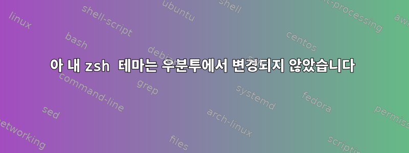 아 내 zsh 테마는 우분투에서 변경되지 않았습니다