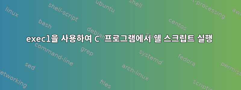 execl을 사용하여 C 프로그램에서 쉘 스크립트 실행