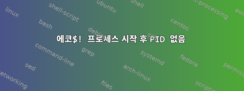 에코$! 프로세스 시작 후 PID 없음