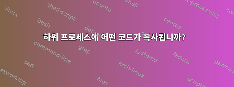 하위 프로세스에 어떤 코드가 복사됩니까?