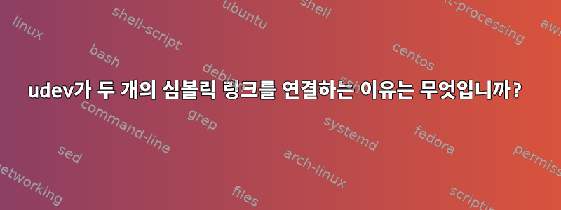 udev가 두 개의 심볼릭 링크를 연결하는 이유는 무엇입니까?