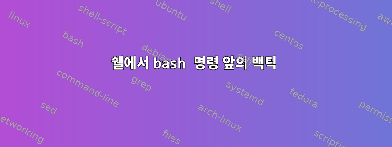 쉘에서 bash 명령 앞의 백틱