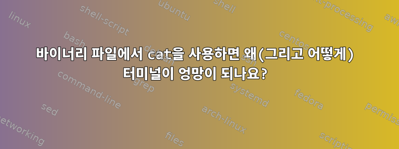 바이너리 파일에서 cat을 사용하면 왜(그리고 어떻게) 터미널이 엉망이 되나요?