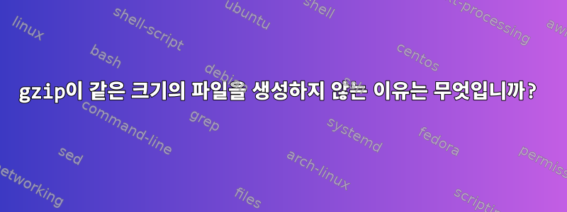 gzip이 같은 크기의 파일을 생성하지 않는 이유는 무엇입니까?